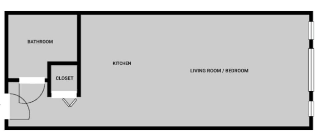 Un plan d’étage comprenant une salle de bain, une cuisine, un salon/chambre et un placard.