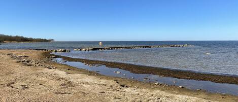 Pêche sur place