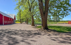 A gravel path leading to a red barn, surrounded by trees and a fenced field. - 1 bedroom amazing home in ödeshög (Ödeshög)