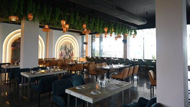 Een modern restaurantinterieur met hoge plafonds, hangende begroeiing en diverse zithoeken.