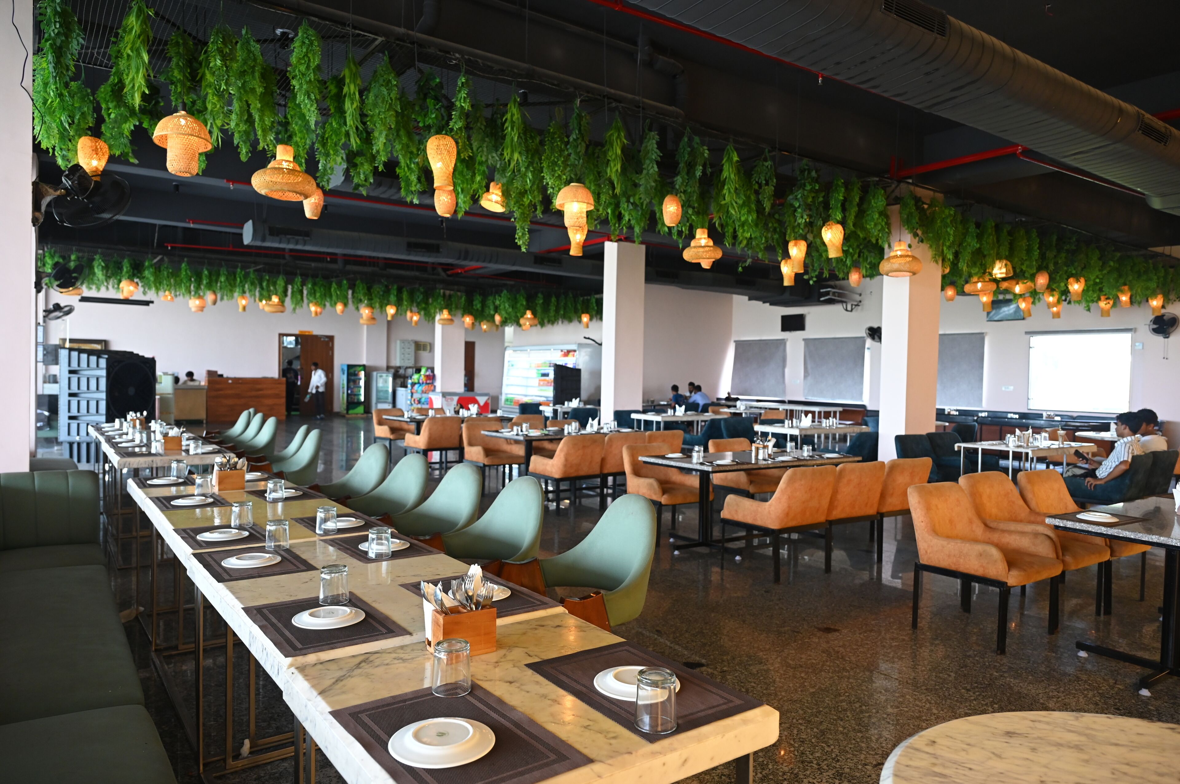 Un comedor amplio con mesas largas, asientos cómodos y plantas colgantes.