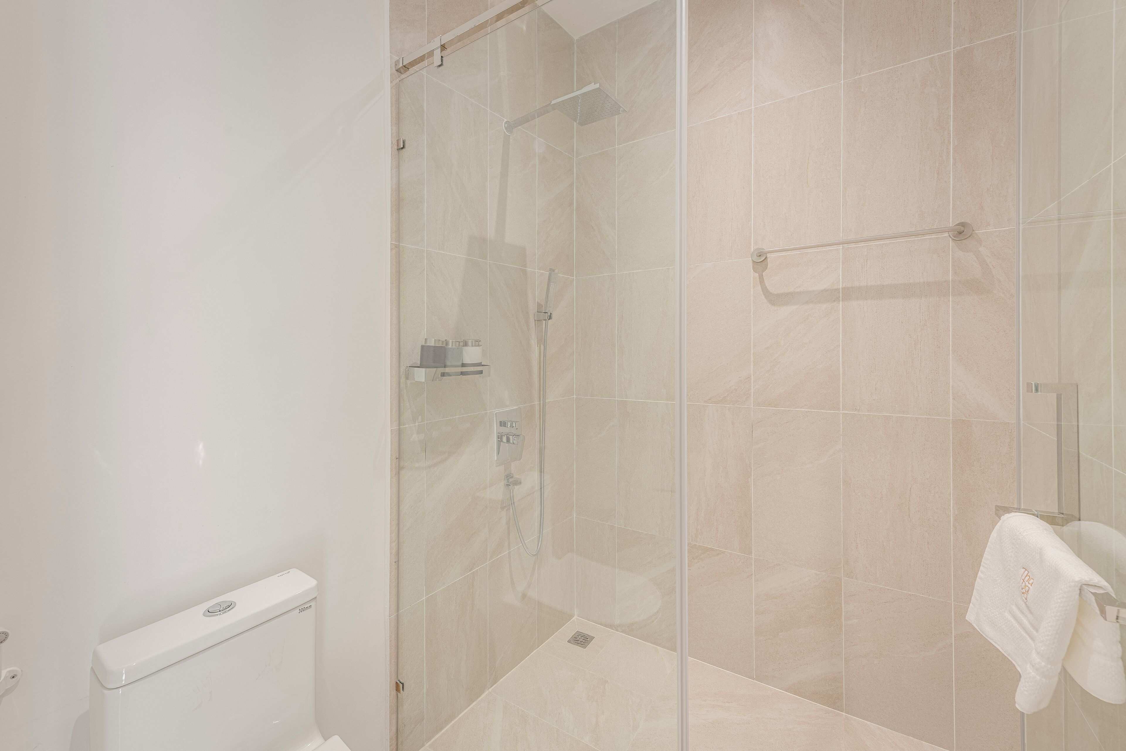 A modern bathroom with a glass-enclosed shower, a toilet, and a towel rack.