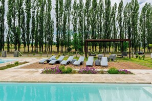 Zona piscina con lettini, una pergola e filari di alberi alti sullo sfondo.