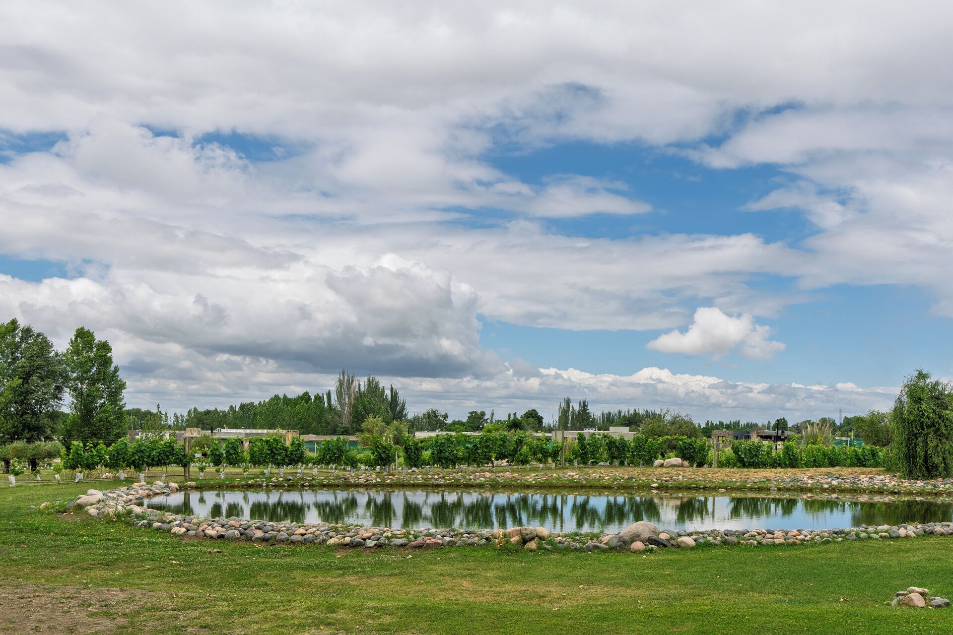 Een vredig landschap met een vijver, grasvelden en bomen.