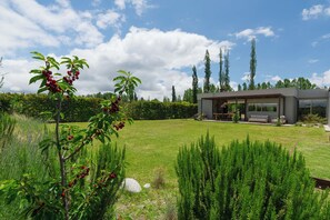 A modern house with a spacious lawn, a patio, and tall trees in the background.