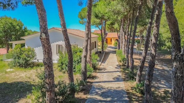 Un sendero que lleva a un edificio rodeado de árboles.