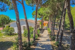 A pathway leading to a building surrounded by trees. - Villa Valentina - Villa Valentina 2 (Capoliveri)