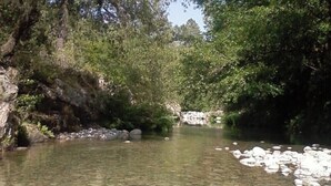 A natural landscape with a clear river, rocks, and dense greenery.