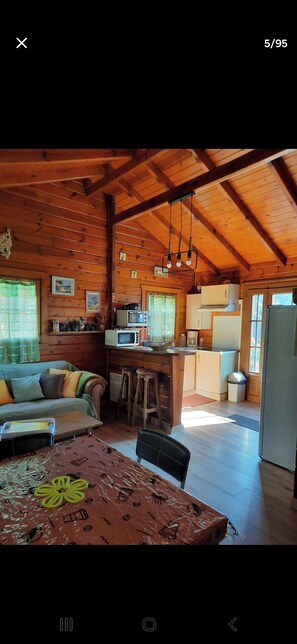 Living area - Vrbo Property (Poggiolo)