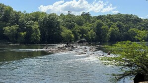 A river with rocky banks and dense forest in the background. - Modern Suite Near Hot Springs & Ouachita River (Malvern)