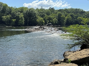 A river with rocky banks and dense forest in the background.