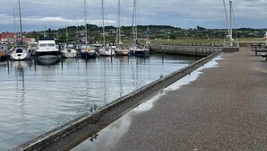 A marina with boats docked, a concrete walkway, and a cloudy sky.