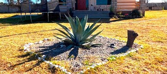Beautiful Country House with Nature | 5 min from Downtown