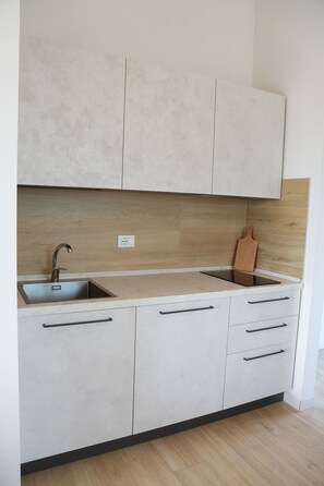 A modern kitchen with a sink, countertop, and wooden backsplash. - Horizon View Apartment (Veneto)