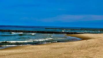 A beach with a wooden pier extending into the ocean, sandy shore, and clear blue sky.