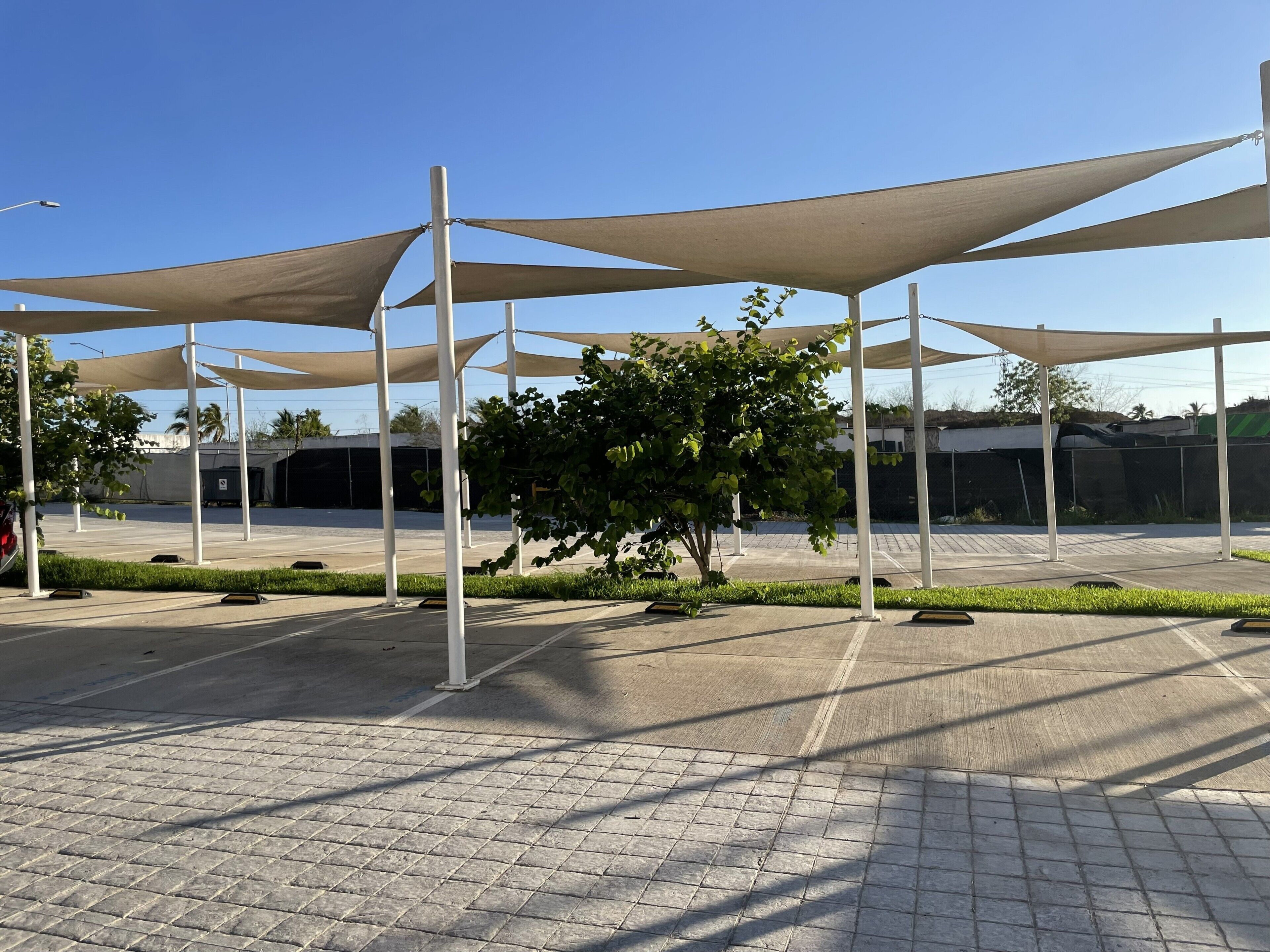 A paved outdoor area with shade structures and a small tree.