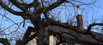 Quiet and central in a historic house with a variety of excursion destinations