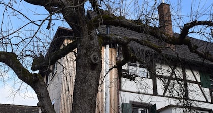 Quiet and central in a historic house with a variety of excursion destinations