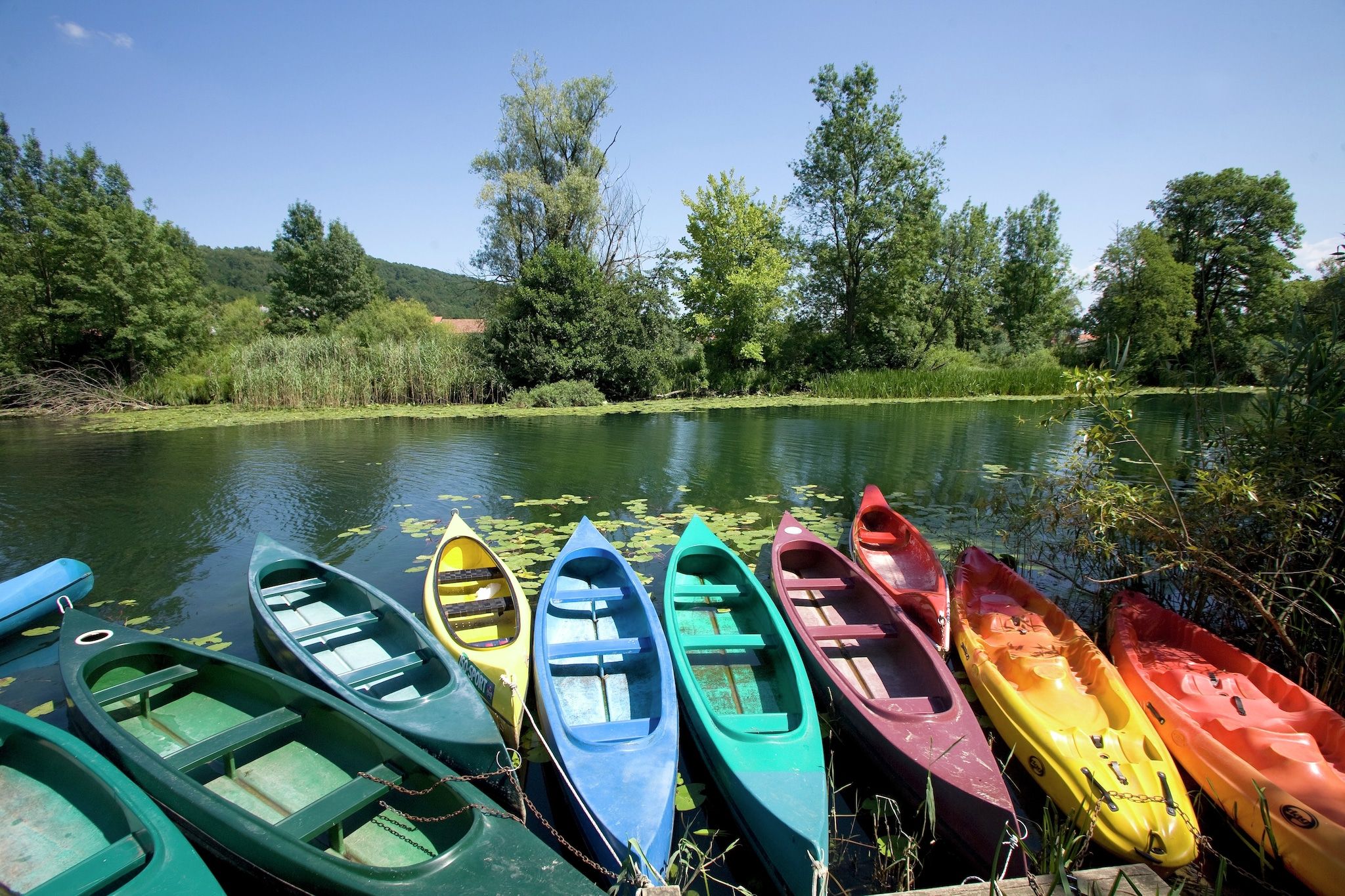 A row of colorful kayaks docked at a calm river with lush greenery in the background.