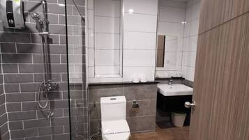 Un baño moderno con ducha envuelta en vidrio, un inodoro blanco y un lavabo con un espejo arriba.