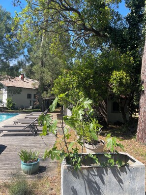Eine Holzterrasse mit Liegestühlen, einem Swimmingpool und Kübelpflanzen.