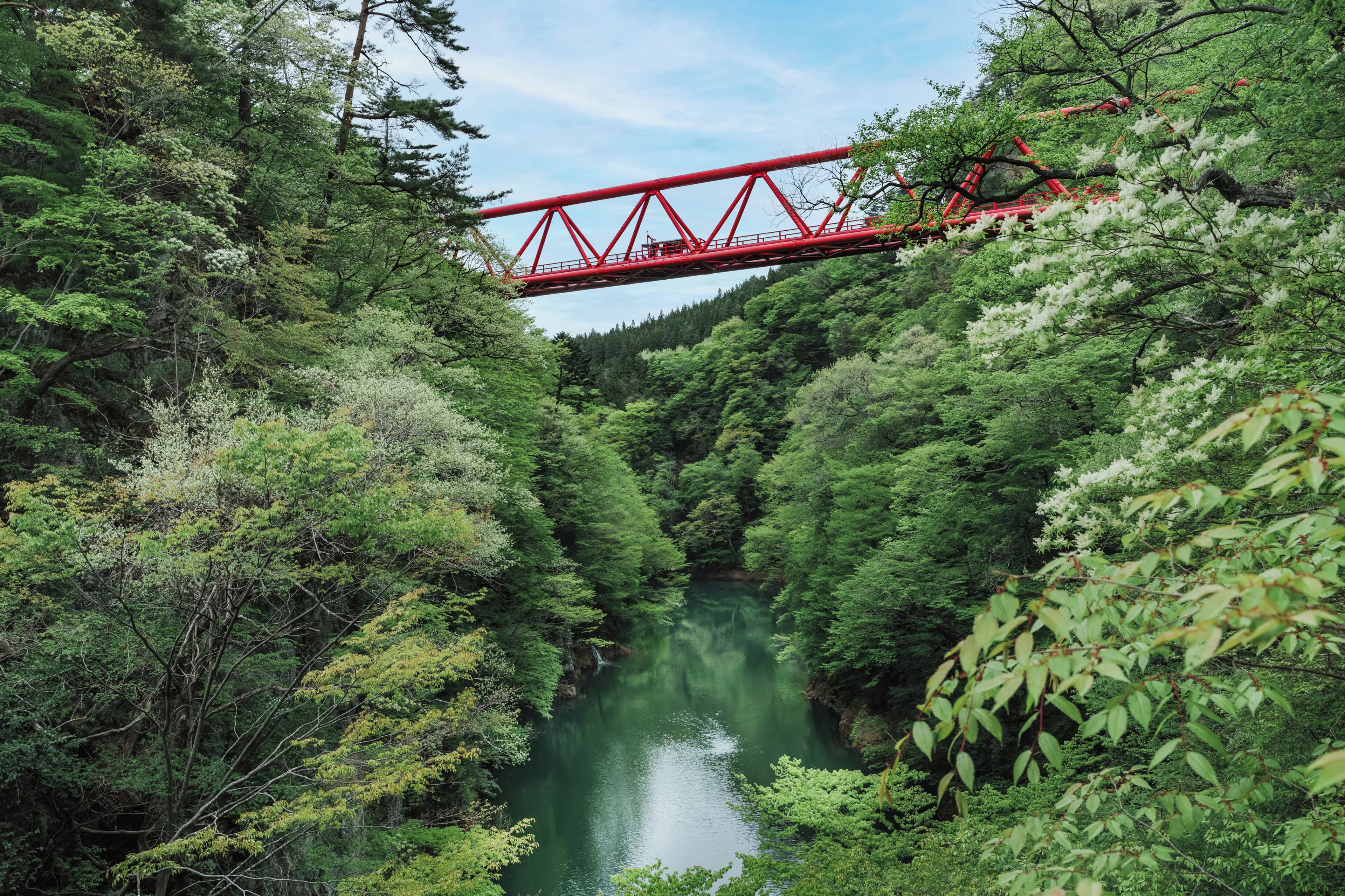 Een rode brug over een rivier, omgeven door weelderige begroeiing.