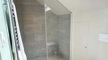 Ein Badezimmer mit Dusche, Toilette und einem kleinen Teppich.