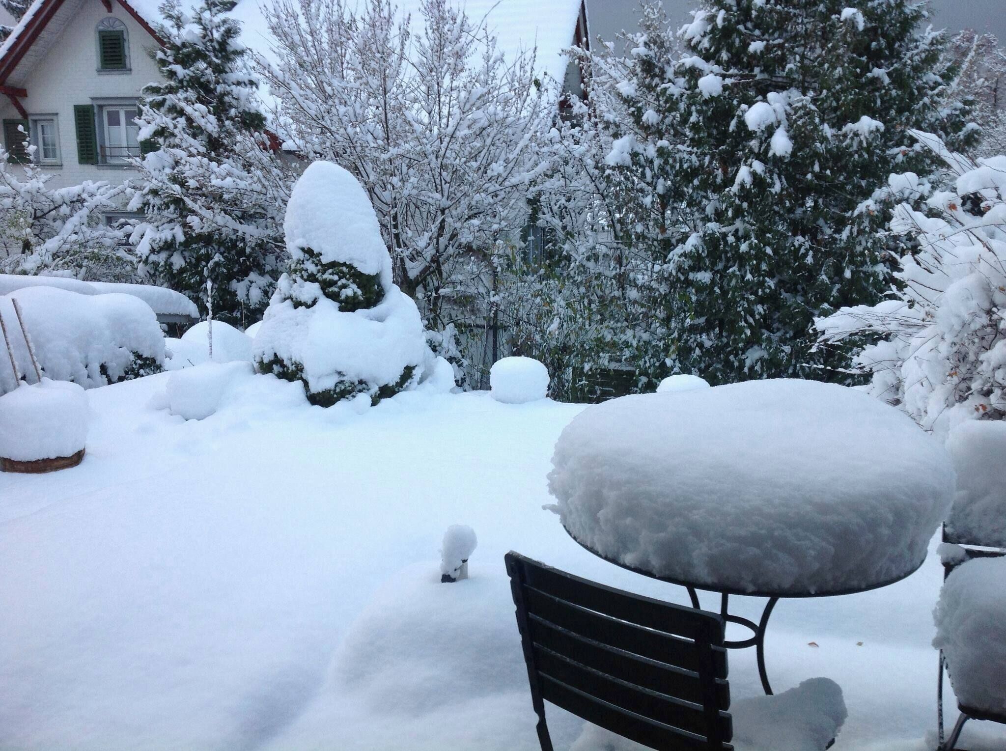 Un espacio exterior cubierto de nieve con una mesa y una silla, rodeado de árboles cargados de nieve y una casa al fondo.