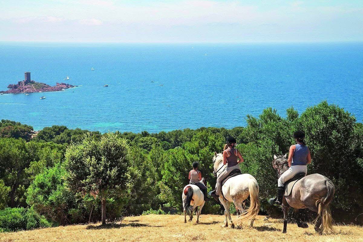 Un paisaje costero con un promontorio rocoso y una vista despejada del mar.