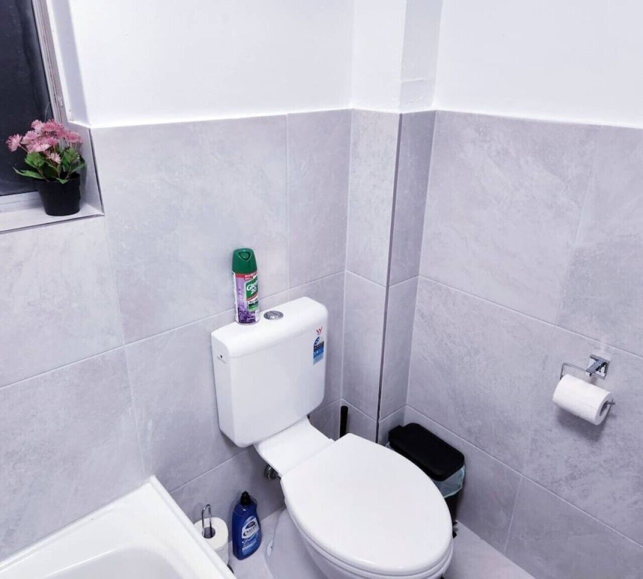 Une salle de bain équipée de toilettes, d’un bidet et d’une petite poubelle.