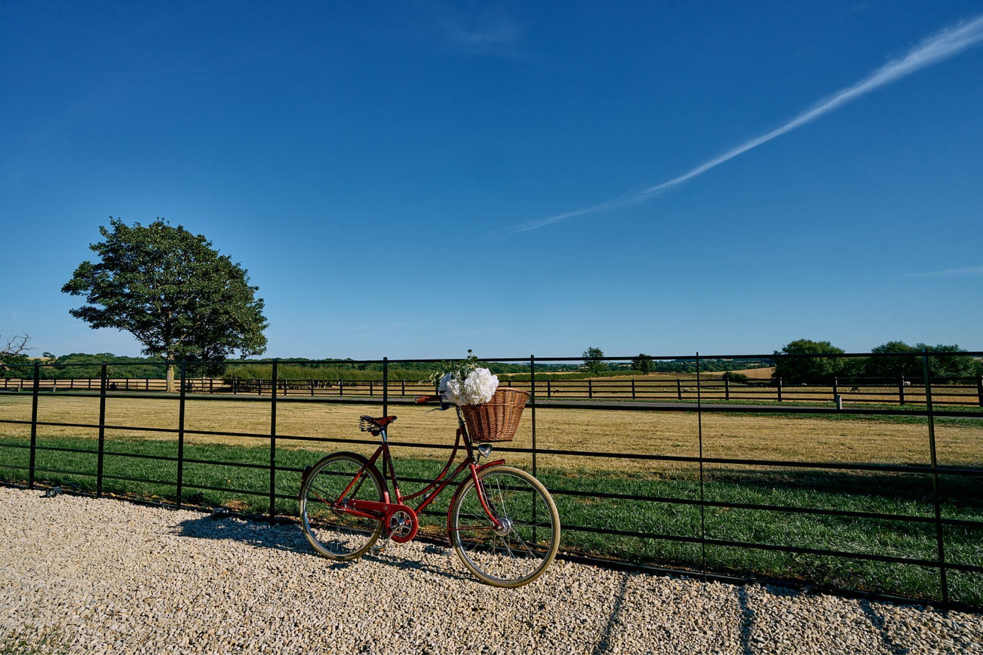 Een fiets met een mandje en bloemen, een hek en een landelijke omgeving met een heldere lucht.