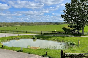 Ländliche Landschaft mit Teich, grünen Feldern und einem Baum.