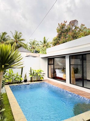 Ein modernes Haus mit Swimmingpool, großen Fenstern und tropischen Pflanzen.