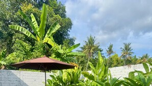 Un patio bien cuidado con césped, una mesa y sillas de madera, rodeado de exuberantes plantas tropicales y un muro de ladrillo blanco.