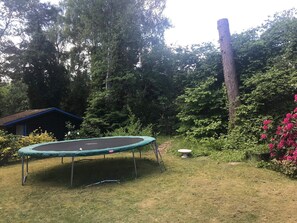 A trampoline in a backyard with a shed, trees, and a tall tree trunk.