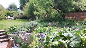 Ein Garten mit verschiedenen Pflanzen, Blumen, einem Holzzaun und einer Rasenfläche.