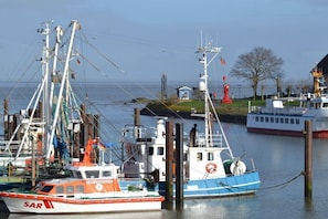 Ein Hafen mit vertäuten Booten, darunter ein weißes und blaues Schiff namens 'WEGA' und ein kleineres, orangefarbenes und weißes Boot mit 'SAR' auf der Seite.