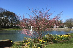 A park with a pond, a pink flowering tree, and yellow daffodils. - 4 in the Weser I building (Cuxhaven-Döse)
