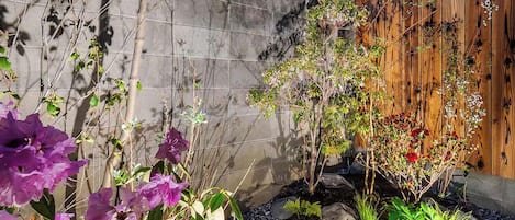 Traditional House, 3 Bedrooms, Kitchen, Garden View | Garden view