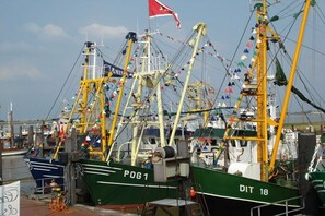 Ein Hafen mit mehreren dort vertäuten Fischerbooten, darunter ein grünes Boot mit der Aufschrift 'POG1' und 'DIT 18'.