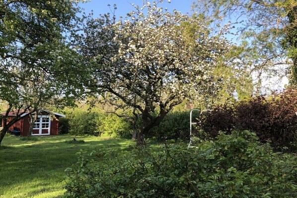 Ein Baum mit weißen Blüten, ein rotes Gebäude und grüne Sträucher.