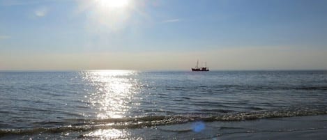On the beach