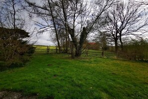 Paesaggio rurale con un'area recintata, alberi e un prato erboso.
