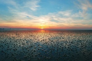 A sunset over a calm body of water with a distant horizon. - Sea eagle 22 in Tossens (Butjadingen- Tossens)