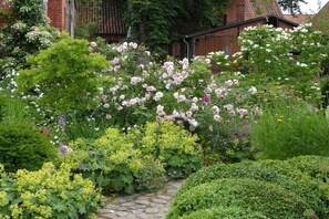 Ein Garten mit verschiedenen blühenden Pflanzen und einem Kiesweg.