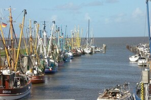 Ein Yachthafen mit zahlreichen Booten, die an der Wasserstraße vertäut sind.