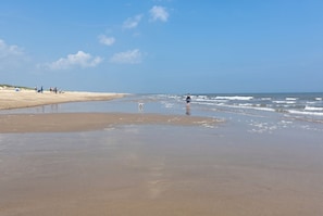 Ein Strand mit einem Hund, der am Ufer entlanggeht, Menschen im Hintergrund und einem Zelt im Sand.