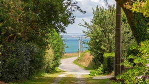 A narrow country road leading to a coastal area with dense greenery and a clear view of the sea.