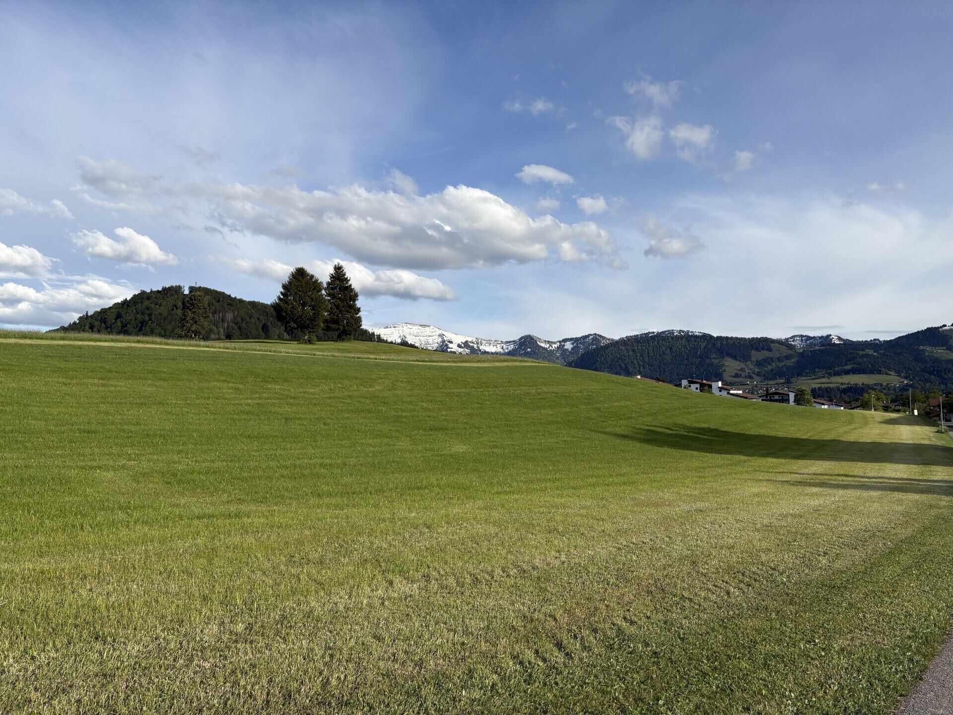 Ein grünes Feld mit einem Berg im Hintergrund.