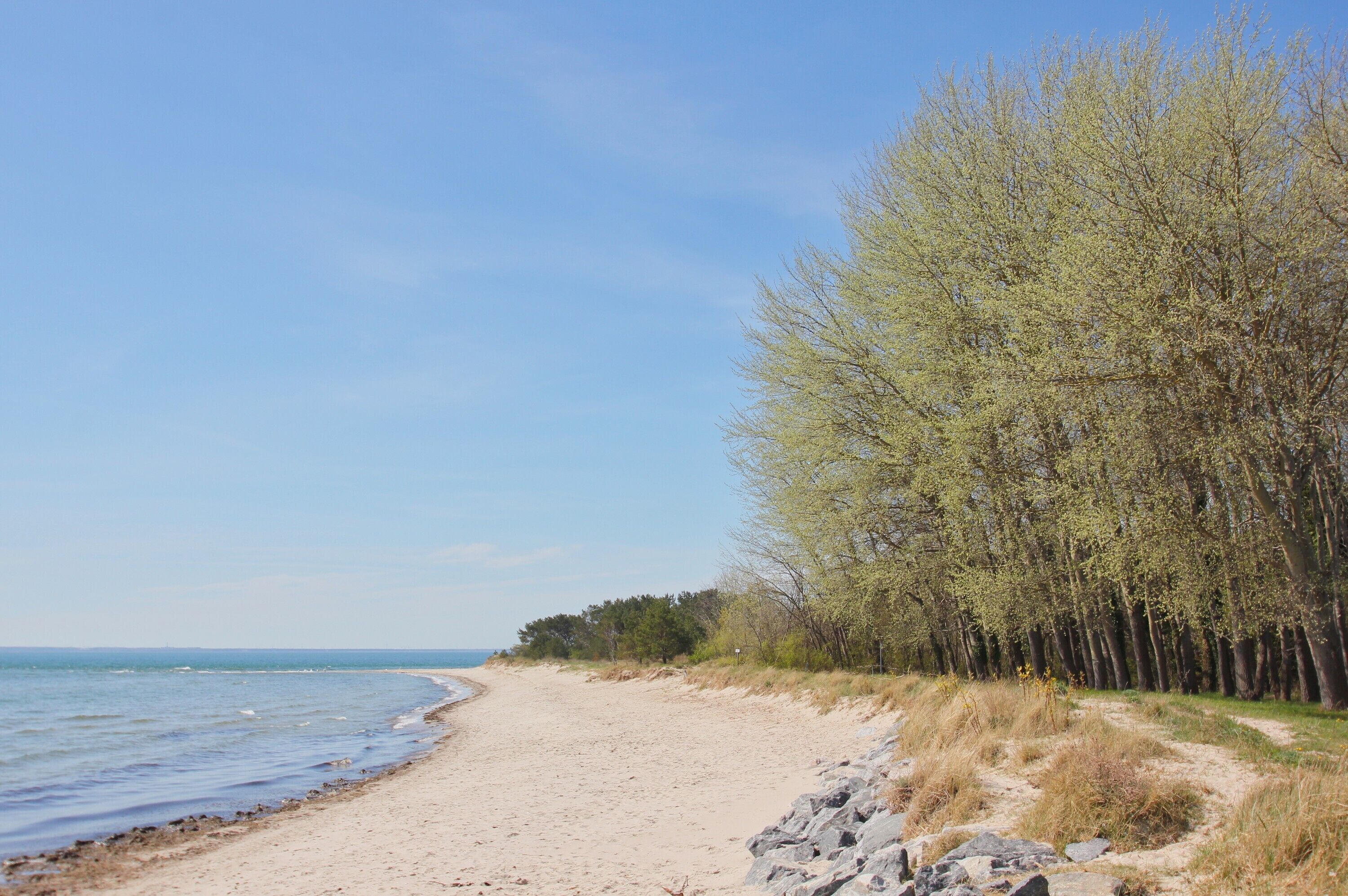 Plage à proximité